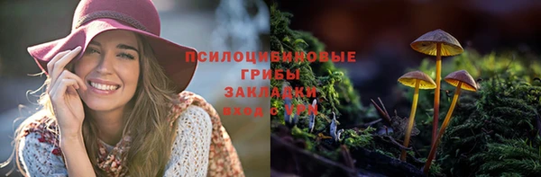 героин Алзамай