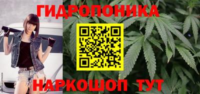 PSILOCYBIN Мариинск