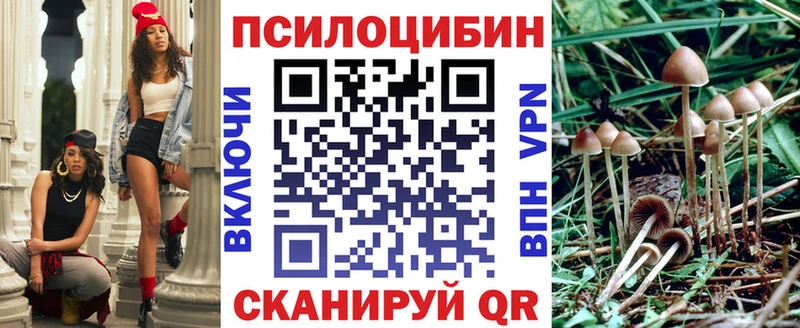 купить закладку  Глазов  Галлюциногенные грибы GOLDEN TEACHER 