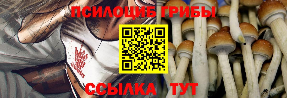 Глазов  Галлюциногенные грибы MAGIC MUSHROOMS  Вход с VPN  магазин продажи   Галлюциногенные грибы Psilocybe 